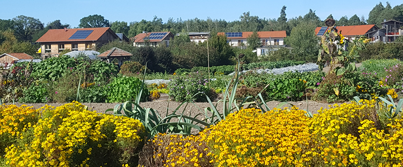 Häuser in Sieben Linden