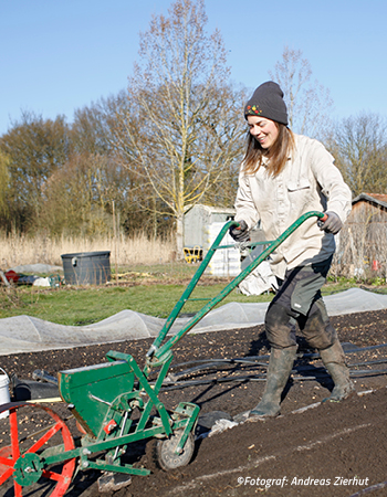 Laura pflügt den Garten
