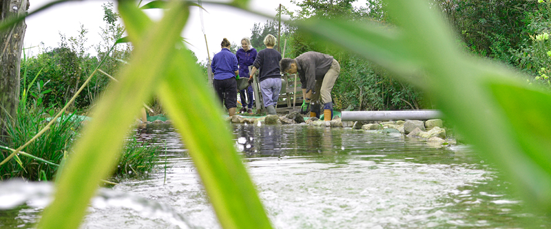 Menschen arbeiten am Teich