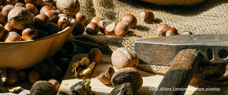 Haselnüsse und Walnüsse