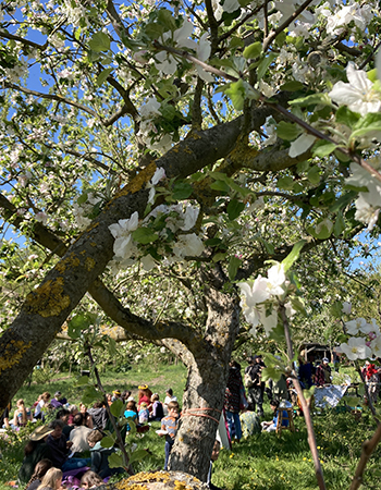 Uga Gartenfest
