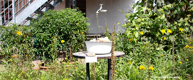 Wasserhahn im Grünen